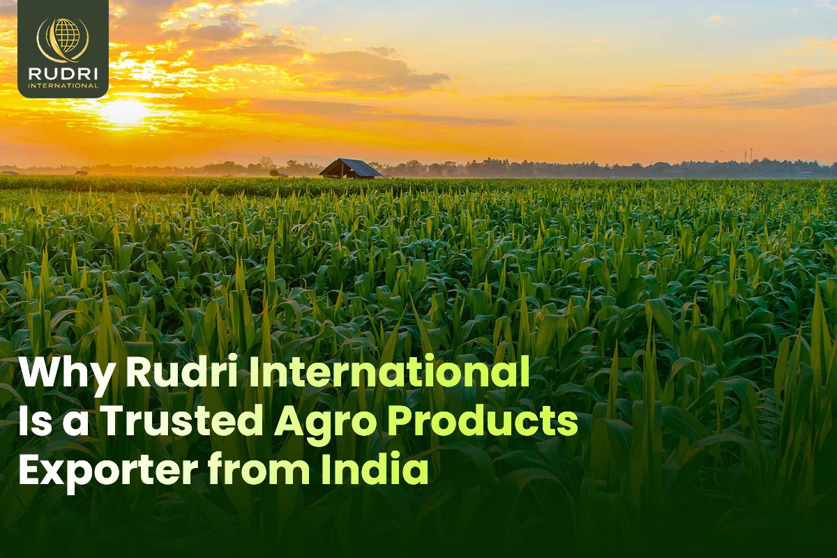 Why Rudri International Is a Trusted Agro Products Exporter from India