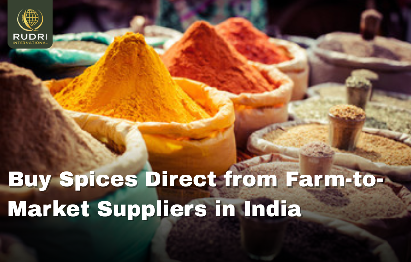 Buy Spices Direct from Farm-to-Market Suppliers in India