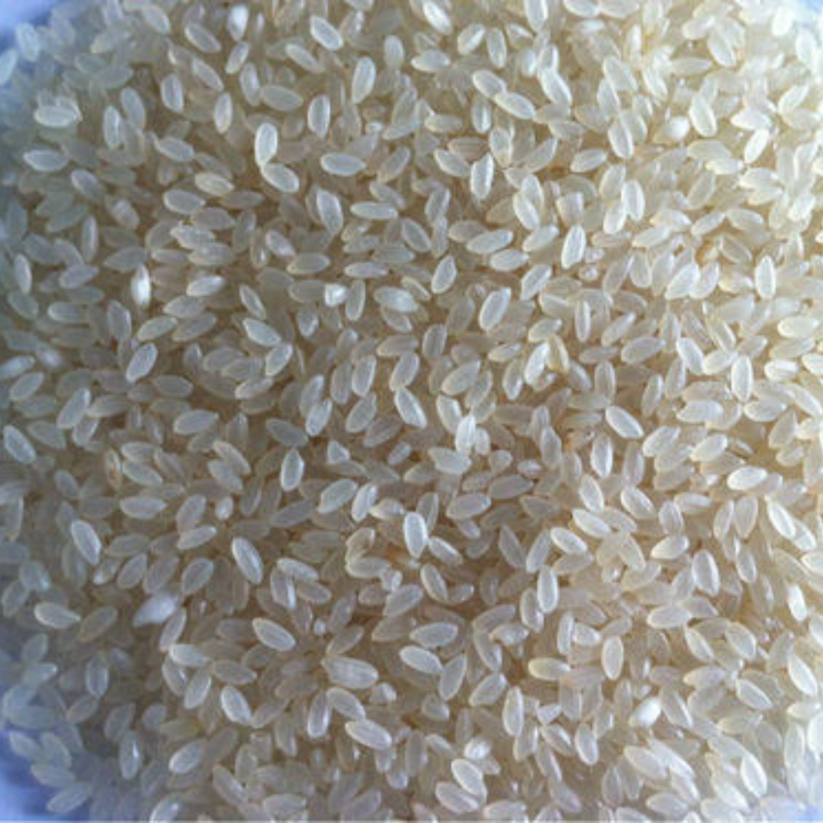 Jeera Samba Rice