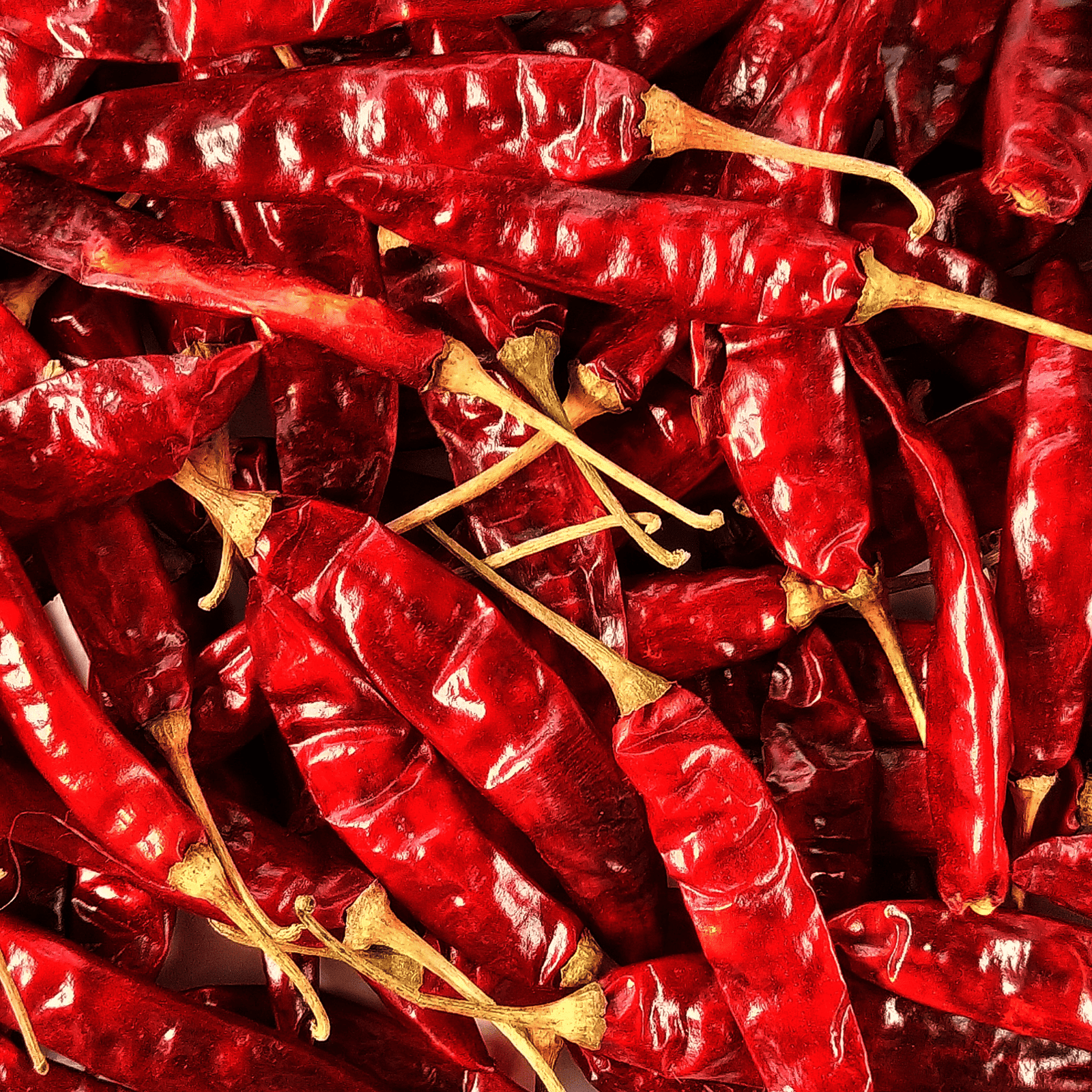 Dry Red Chilli Whole